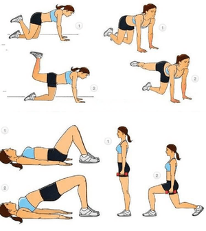 circuit exercises for weight loss
