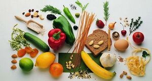 proper nutrition principles for weight loss